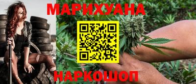 сатива Сланцы