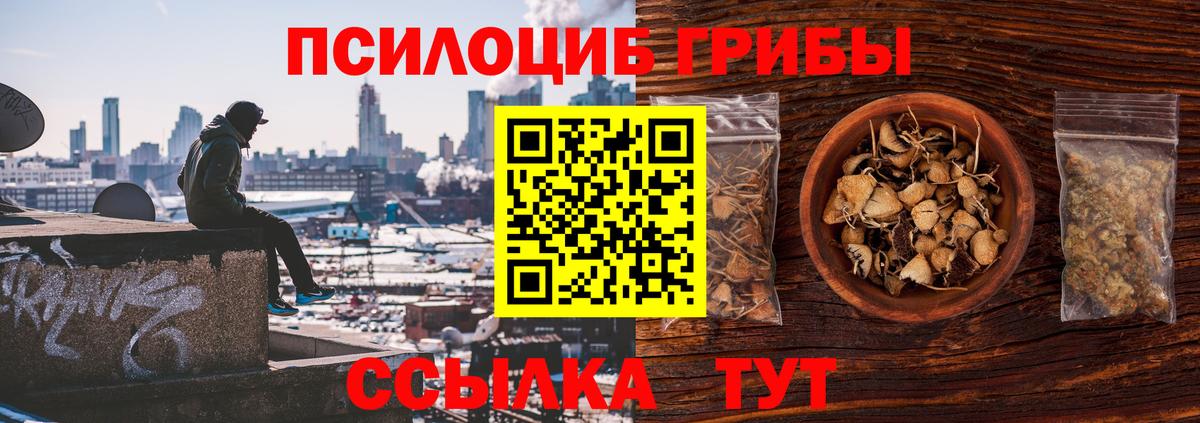 Галлюциногенные грибы Psilocybine cubensis  Вход с VPN  Набережные Челны 